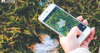 手机看片日韩国产,手机看片,尽享视听盛宴