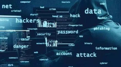 国产高清黄网站全免费,畅享影视盛宴的秘密基地