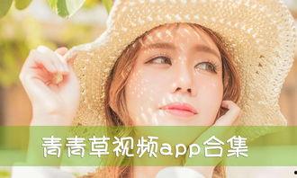 青青草国产免费,探寻国产影视的青春魅力